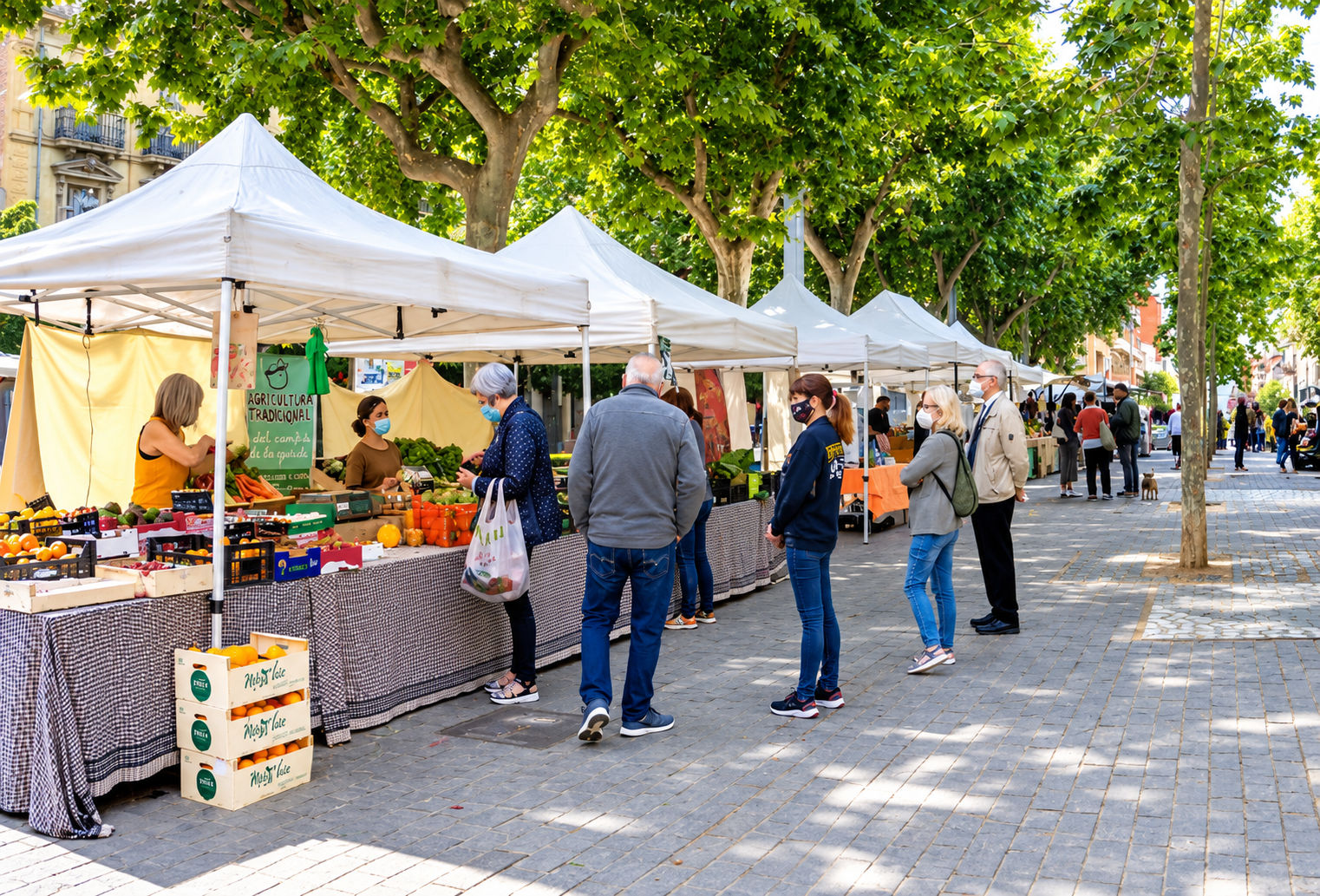 Mercat de productes ecològics i proximitat